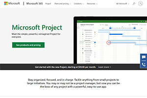 cpm-software-microsoft-project